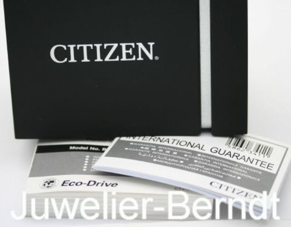 Citizen ECO Drive Herren Uhr BM7108-81L